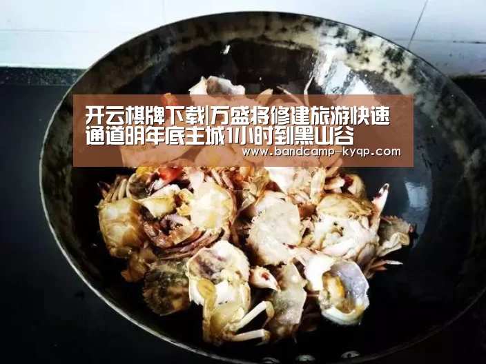 开云棋牌下载|万盛将修建旅游快速通道明年底主城1小时到黑山谷(图1) 开云棋牌下载
