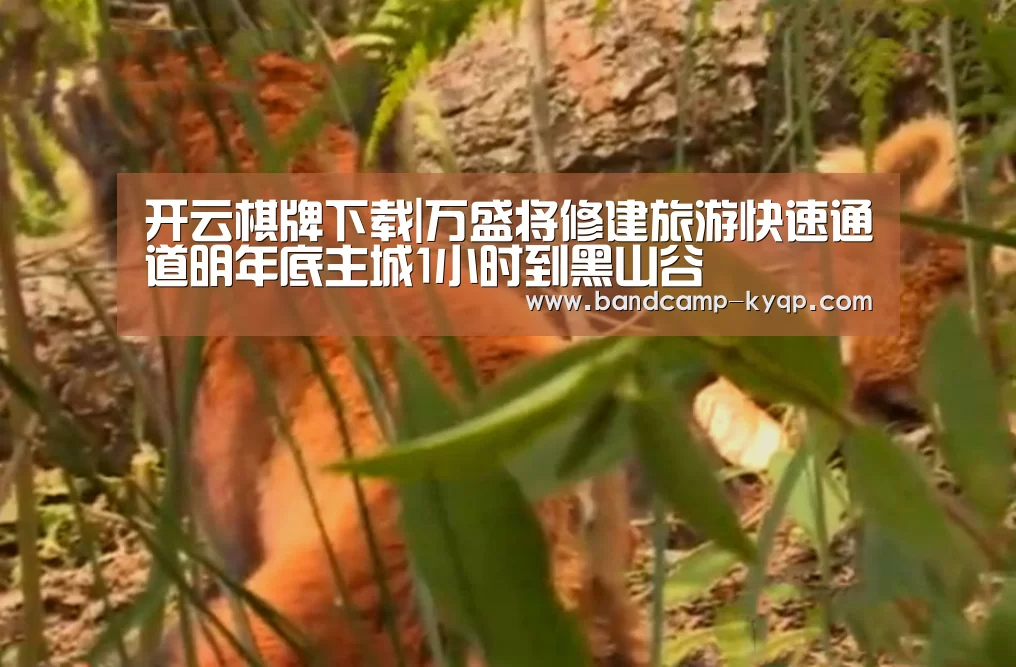 开云棋牌下载|万盛将修建旅游快速通道明年底主城1小时到黑山谷(图2) 开云棋牌官网