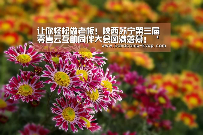 开云棋牌入口