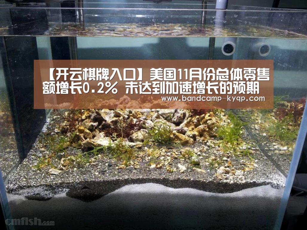 【开云棋牌入口】美国11月份总体零售额增长0.2% 未达到加速增长的预期(图3) 开云棋牌下载