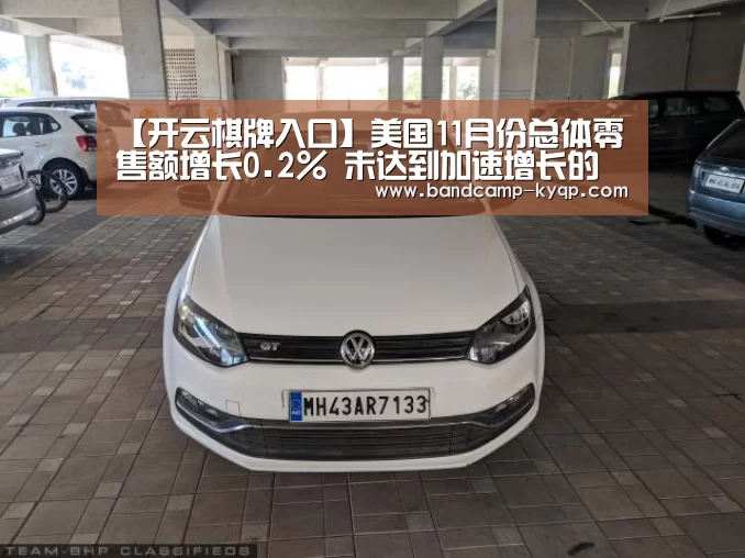 【开云棋牌入口】美国11月份总体零售额增长0.2% 未达到加速增长的预期(图2) 开云棋牌入口