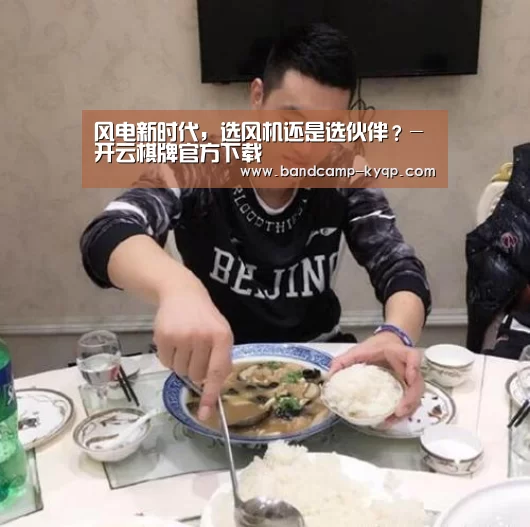 风电新时代,选风机还是选伙伴?-开云棋牌官方下载(图2) 开云棋牌官方下载