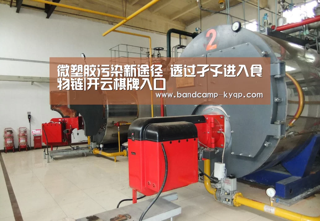 微塑胶污染新途径 透过孑孓进入食物链|开云棋牌入口(图1) 开云棋牌下载